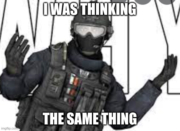 Russian  Badger | I WAS THINKING THE SAME THING | image tagged in russian badger | made w/ Imgflip meme maker