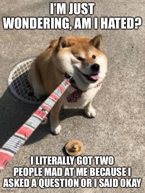 Squishy doggo leash | I’M JUST WONDERING, AM I HATED? I LITERALLY GOT TWO PEOPLE MAD AT ME BECAUSE I ASKED A QUESTION OR I SAID OKAY | image tagged in squishy doggo leash | made w/ Imgflip meme maker