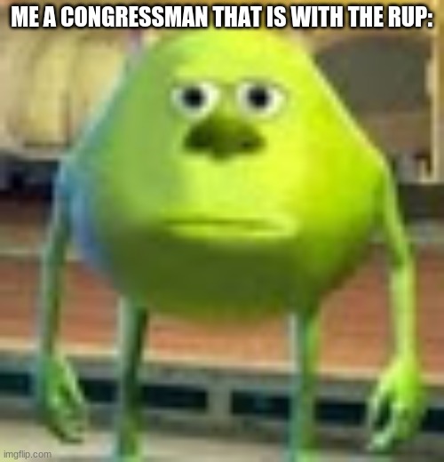 Sully Wazowski | ME A CONGRESSMAN THAT IS WITH THE RUP: | image tagged in sully wazowski | made w/ Imgflip meme maker