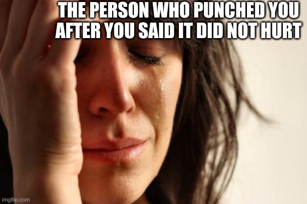 It didn't hurt. | THE PERSON WHO PUNCHED YOU AFTER YOU SAID IT DID NOT HURT | image tagged in memes,first world problems | made w/ Imgflip meme maker