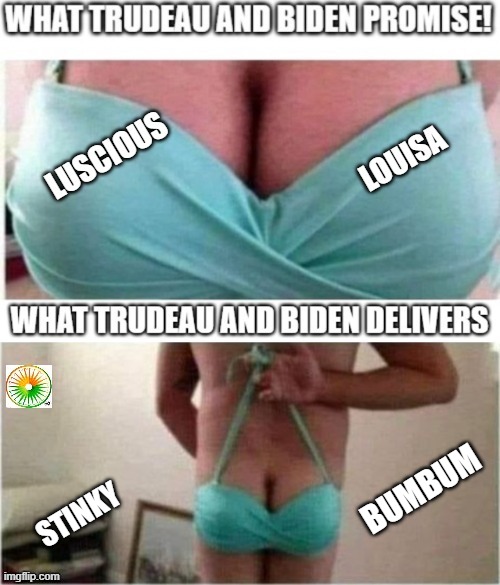 politics | BUMBUM; STINKY | image tagged in political meme | made w/ Imgflip meme maker