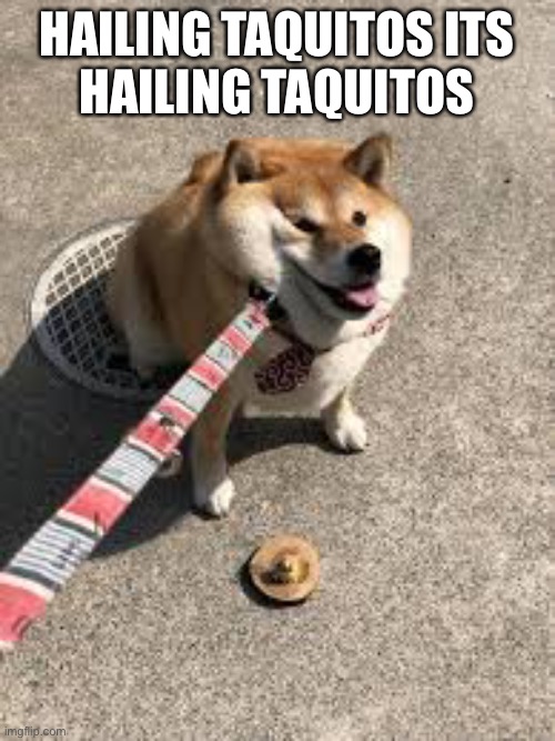 Squishy doggo leash | HAILING TAQUITOS ITS
HAILING TAQUITOS | image tagged in squishy doggo leash | made w/ Imgflip meme maker