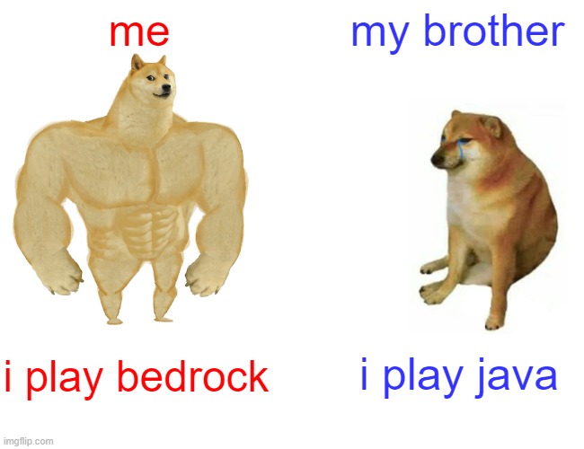 Buff Doge vs. Cheems | me; my brother; i play java; i play bedrock | image tagged in memes,buff doge vs cheems | made w/ Imgflip meme maker