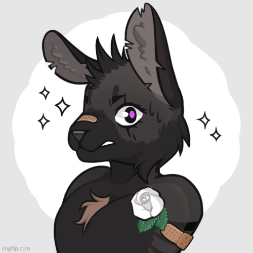 Get pissed off.  I’m a furry | made w/ Imgflip meme maker