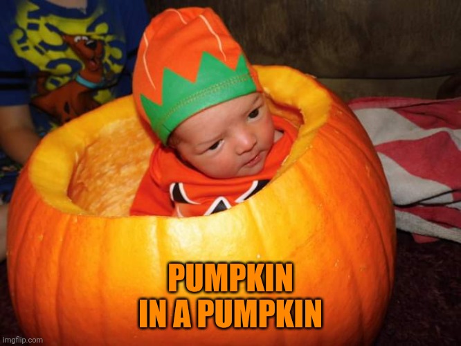 PUMPKIN BABY | PUMPKIN
IN A PUMPKIN | image tagged in baby,pumpkin,halloween,spooktober | made w/ Imgflip meme maker