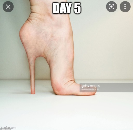 Dah 5 of posting weird things |  DAY 5 | image tagged in foot,high heel,image,weird | made w/ Imgflip meme maker