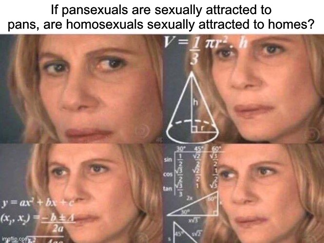 Math lady/Confused lady | If pansexuals are sexually attracted to pans, are homosexuals sexually attracted to homes? | image tagged in math lady/confused lady | made w/ Imgflip meme maker
