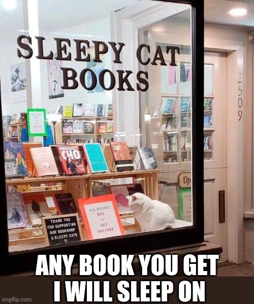 SLEEP CAT | ANY BOOK YOU GET
 I WILL SLEEP ON | image tagged in cats,funny cats | made w/ Imgflip meme maker