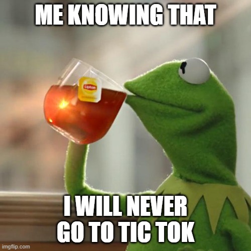 The relief | ME KNOWING THAT; I WILL NEVER GO TO TIC TOK | image tagged in memes,kermit the frog,tic tok sucks | made w/ Imgflip meme maker