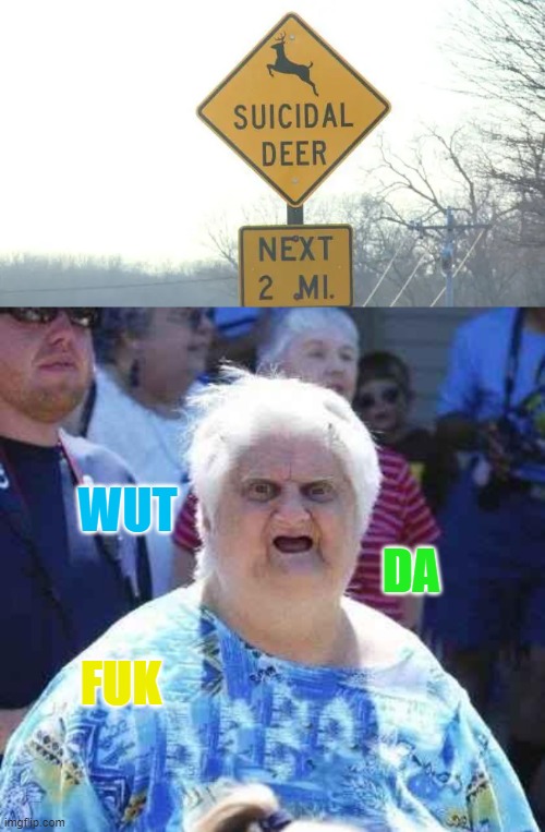 interesting | WUT; DA; FUK | image tagged in wut,wtf,deer,weird signs | made w/ Imgflip meme maker