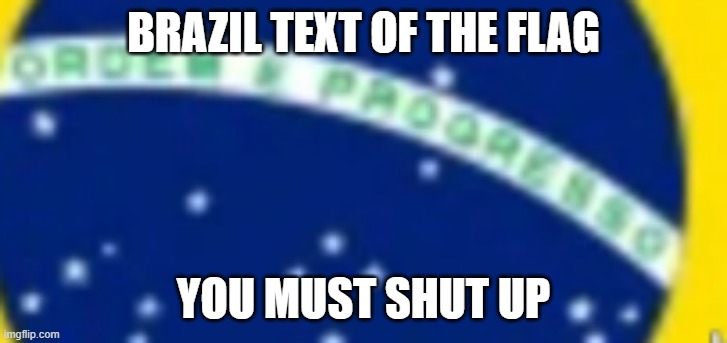 Brazil Flag | BRAZIL TEXT OF THE FLAG; YOU MUST SHUT UP | image tagged in meme,flags,brazil | made w/ Imgflip meme maker