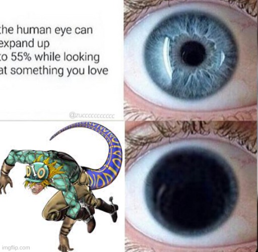 yes,YES | image tagged in the human eye can expand up to 55,jojo's bizarre adventure | made w/ Imgflip meme maker