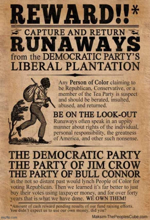 Democrat Plantation | image tagged in democrat plantation | made w/ Imgflip meme maker