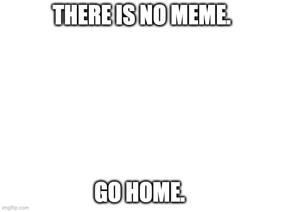 Blank White Template | THERE IS NO MEME. GO HOME. | image tagged in memes | made w/ Imgflip meme maker