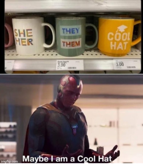 image tagged in funny memes | made w/ Imgflip meme maker