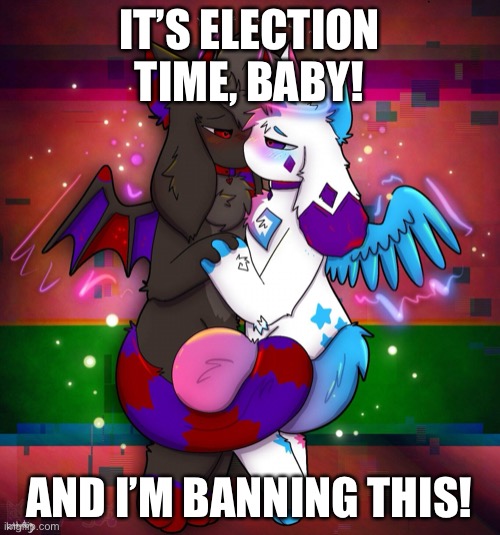 Time for an election! Vote for Trump! | IT’S ELECTION TIME, BABY! AND I’M BANNING THIS! | image tagged in donald trump,anti furry | made w/ Imgflip meme maker