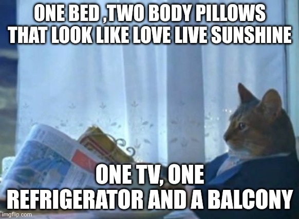 I Should Buy A Boat Cat Meme | ONE BED ,TWO BODY PILLOWS THAT LOOK LIKE LOVE LIVE SUNSHINE; ONE TV, ONE REFRIGERATOR AND A BALCONY | image tagged in memes,i should buy a boat cat | made w/ Imgflip meme maker