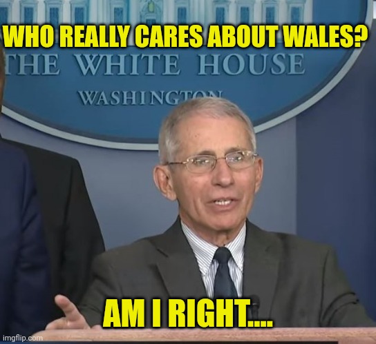 Dr Fauci | WHO REALLY CARES ABOUT WALES? AM I RIGHT.... | image tagged in dr fauci | made w/ Imgflip meme maker