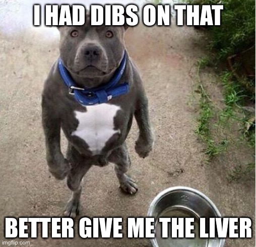 Hungry Dog | I HAD DIBS ON THAT BETTER GIVE ME THE LIVER | image tagged in hungry dog | made w/ Imgflip meme maker