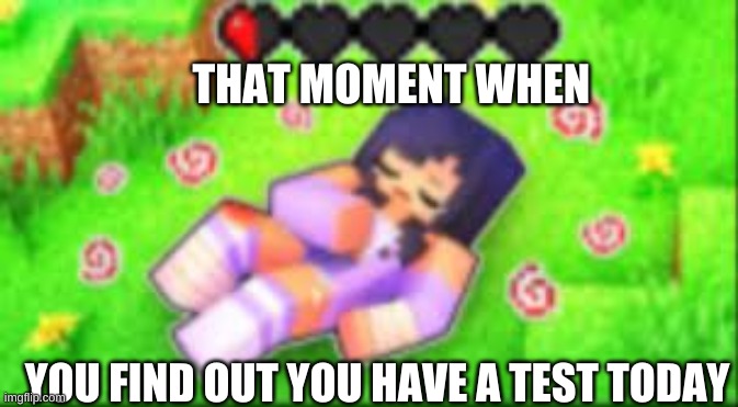 dat so true do | THAT MOMENT WHEN; YOU FIND OUT YOU HAVE A TEST TODAY | image tagged in aphmau | made w/ Imgflip meme maker