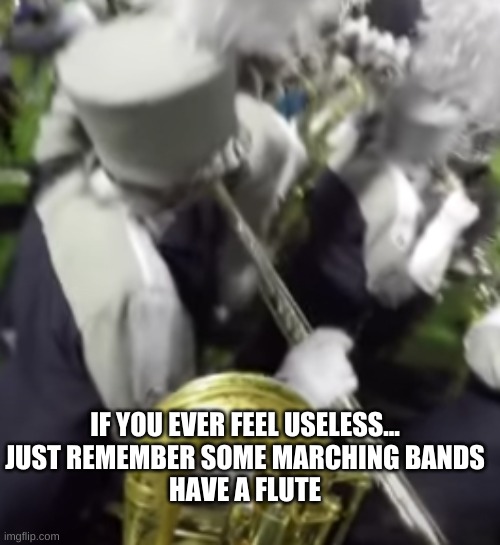 No hate to flutes... But man you guys are quiet. | IF YOU EVER FEEL USELESS...
JUST REMEMBER SOME MARCHING BANDS
HAVE A FLUTE | image tagged in flute,marching band | made w/ Imgflip meme maker