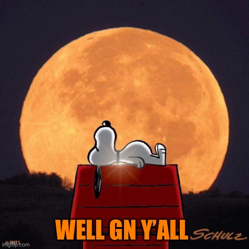 See ya in the morning :) | WELL GN Y’ALL | image tagged in goodnight | made w/ Imgflip meme maker