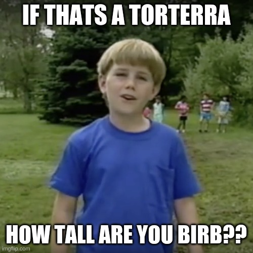 Kazoo kid wait a minute who are you | IF THATS A TORTERRA HOW TALL ARE YOU BIRB?? | image tagged in kazoo kid wait a minute who are you | made w/ Imgflip meme maker