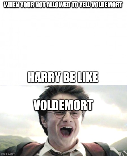 WHEN YOUR NOT ALLOWED TO YELL VOLDEMORT; HARRY BE LIKE; VOLDEMORT | made w/ Imgflip meme maker