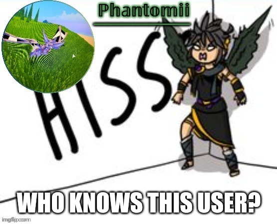 Phantomii's Template | WHO KNOWS THIS USER? | image tagged in phantomii's template | made w/ Imgflip meme maker