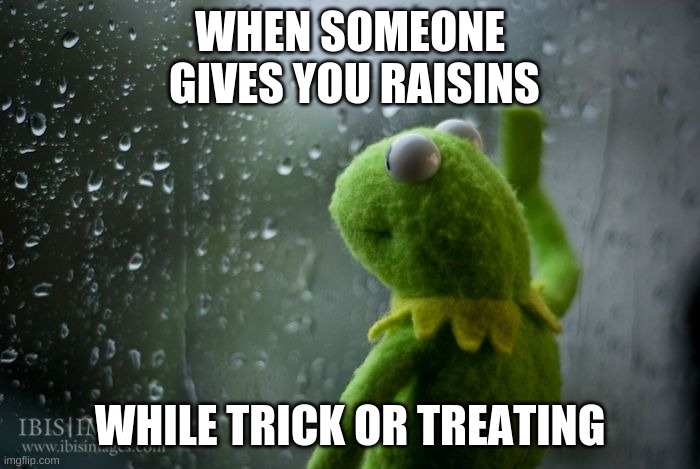 Day 6 Halloween memes anyone? | WHEN SOMEONE
 GIVES YOU RAISINS; WHILE TRICK OR TREATING | image tagged in kermit window | made w/ Imgflip meme maker
