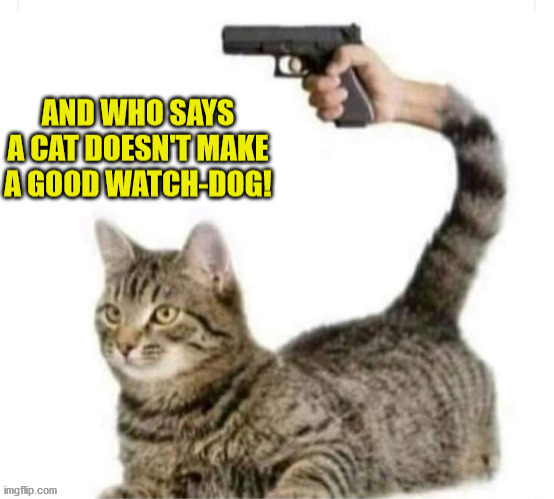 CAT-WATCHDOG | image tagged in cat-watchdog | made w/ Imgflip meme maker