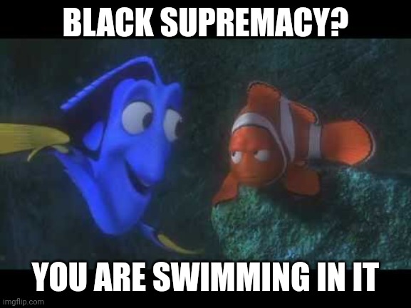 black supremacy? you are swimming in it | BLACK SUPREMACY? YOU ARE SWIMMING IN IT | image tagged in just keep swimming,black privilege meme | made w/ Imgflip meme maker