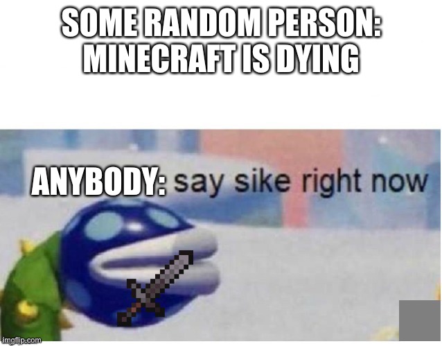 Minecraft isn’t going to die for at least another decade | SOME RANDOM PERSON: MINECRAFT IS DYING; ANYBODY: | image tagged in say sike right now,minecraft | made w/ Imgflip meme maker