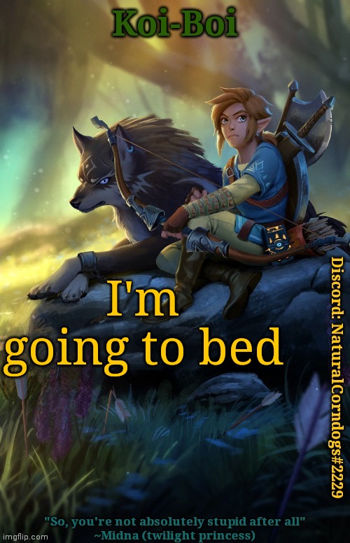 Adios | I'm going to bed | image tagged in link template | made w/ Imgflip meme maker