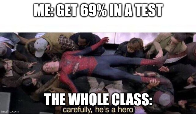 I legit got 69% in maths! | ME: GET 69% IN A TEST; THE WHOLE CLASS: | image tagged in carefully he's a hero,69,test | made w/ Imgflip meme maker