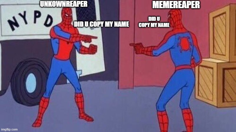 i met someone named like this | UNKOWNREAPER; MEMEREAPER; DID U COPY MY NAME; DID U COPY MY NAME | image tagged in spiderman pointing at spiderman | made w/ Imgflip meme maker