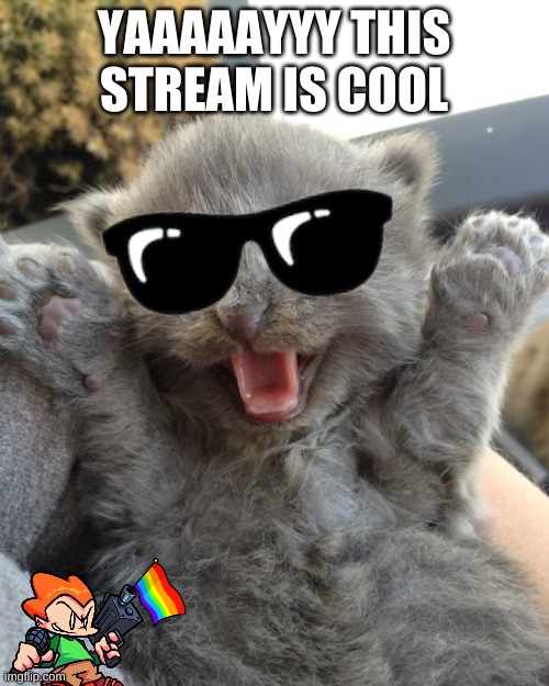 Yay Kitty | YAAAAAYYY THIS STREAM IS COOL | image tagged in yay kitty | made w/ Imgflip meme maker