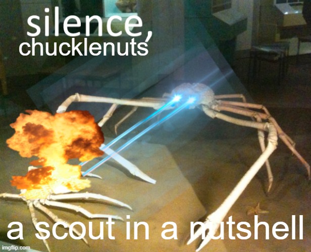 Silence Crab | chucklenuts; a scout in a nutshell | image tagged in silence crab | made w/ Imgflip meme maker
