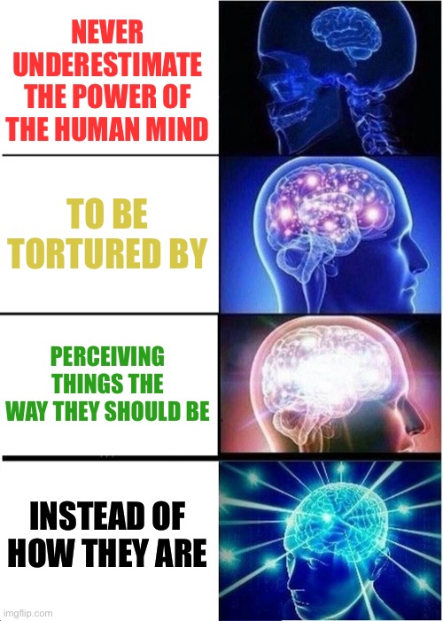 Expanding Brain | NEVER UNDERESTIMATE THE POWER OF THE HUMAN MIND; TO BE TORTURED BY; PERCEIVING THINGS THE WAY THEY SHOULD BE; INSTEAD OF HOW THEY ARE | image tagged in memes,expanding brain,true story bro,real life,lol so funny,not funny | made w/ Imgflip meme maker