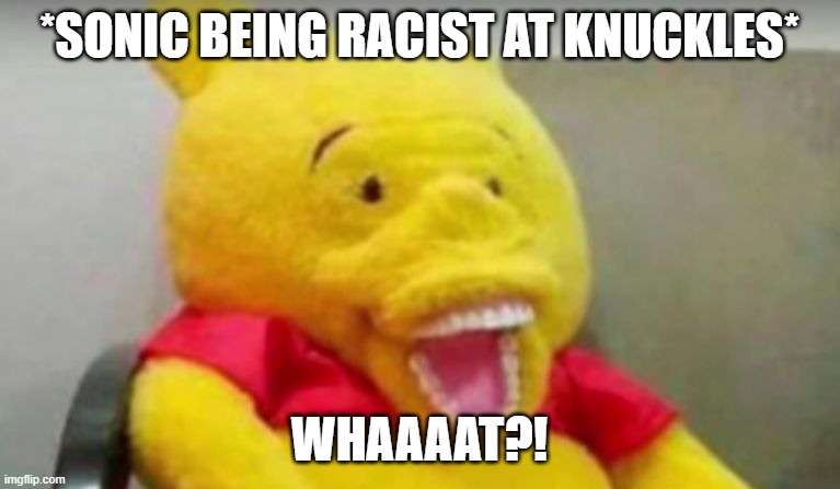 sonic is racist?!... | *SONIC BEING RACIST AT KNUCKLES*; WHAAAAT?! | image tagged in winnie the pooh whaaat,sonic the hedgehog,sonic,racism,funny memes | made w/ Imgflip meme maker