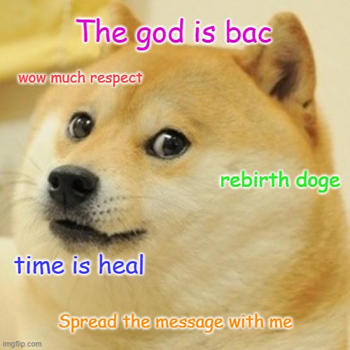 SPREAD THE MESSAGE | The god is bac; wow much respect; rebirth doge; time is heal; Spread the message with me | image tagged in memes,doge | made w/ Imgflip meme maker