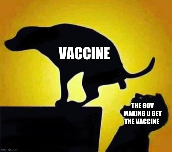 dog pooping in mouth | VACCINE; THE GOV MAKING U GET THE VACCINE | image tagged in dog pooping in mouth | made w/ Imgflip meme maker