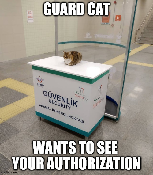 GUARD CAT; WANTS TO SEE  YOUR AUTHORIZATION | made w/ Imgflip meme maker