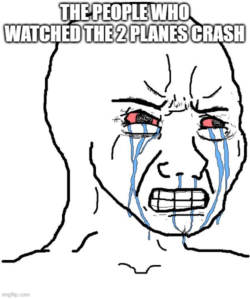 Crying npc | THE PEOPLE WHO WATCHED THE 2 PLANES CRASH | image tagged in crying npc | made w/ Imgflip meme maker