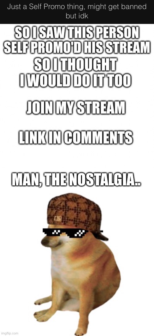 MAN, THE NOSTALGIA.. | image tagged in epic cheems | made w/ Imgflip meme maker