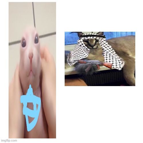 Friday, 24th June 2034. Battle of The Flops | image tagged in memes,blank transparent square | made w/ Imgflip meme maker