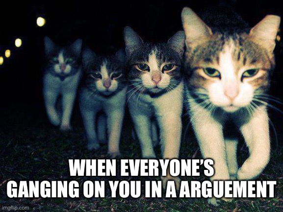 Wrong Neighboorhood Cats | WHEN EVERYONE’S GANGING ON YOU IN A ARGUEMENT | image tagged in memes,wrong neighboorhood cats | made w/ Imgflip meme maker