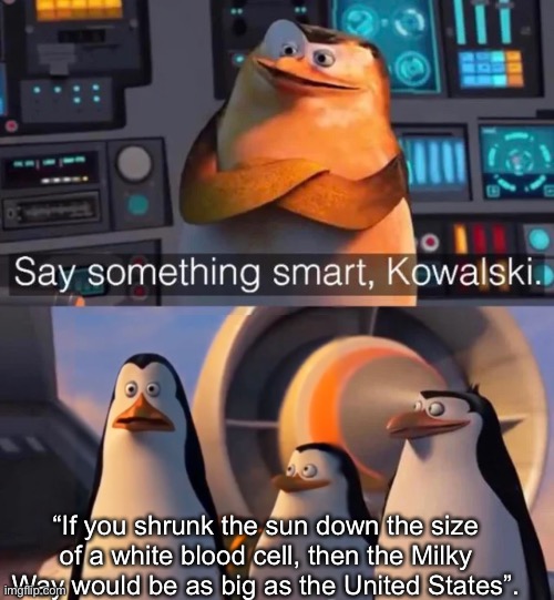 Say something smart Kowalski | “If you shrunk the sun down the size of a white blood cell, then the Milky Way would be as big as the United States”. | image tagged in say something smart kowalski | made w/ Imgflip meme maker