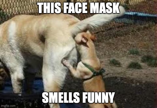facemask |  THIS FACE MASK; SMELLS FUNNY | image tagged in brown noser,facemask | made w/ Imgflip meme maker
