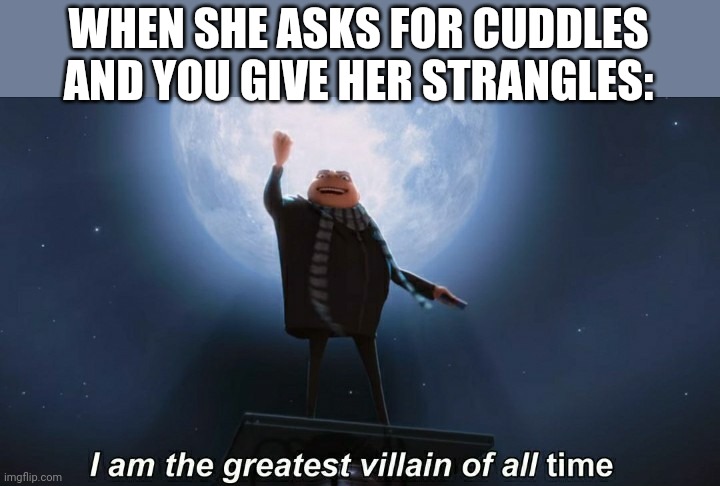 i am the greatest villain of all time | WHEN SHE ASKS FOR CUDDLES AND YOU GIVE HER STRANGLES: | image tagged in i am the greatest villain of all time | made w/ Imgflip meme maker